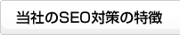 SEO対策の特徴